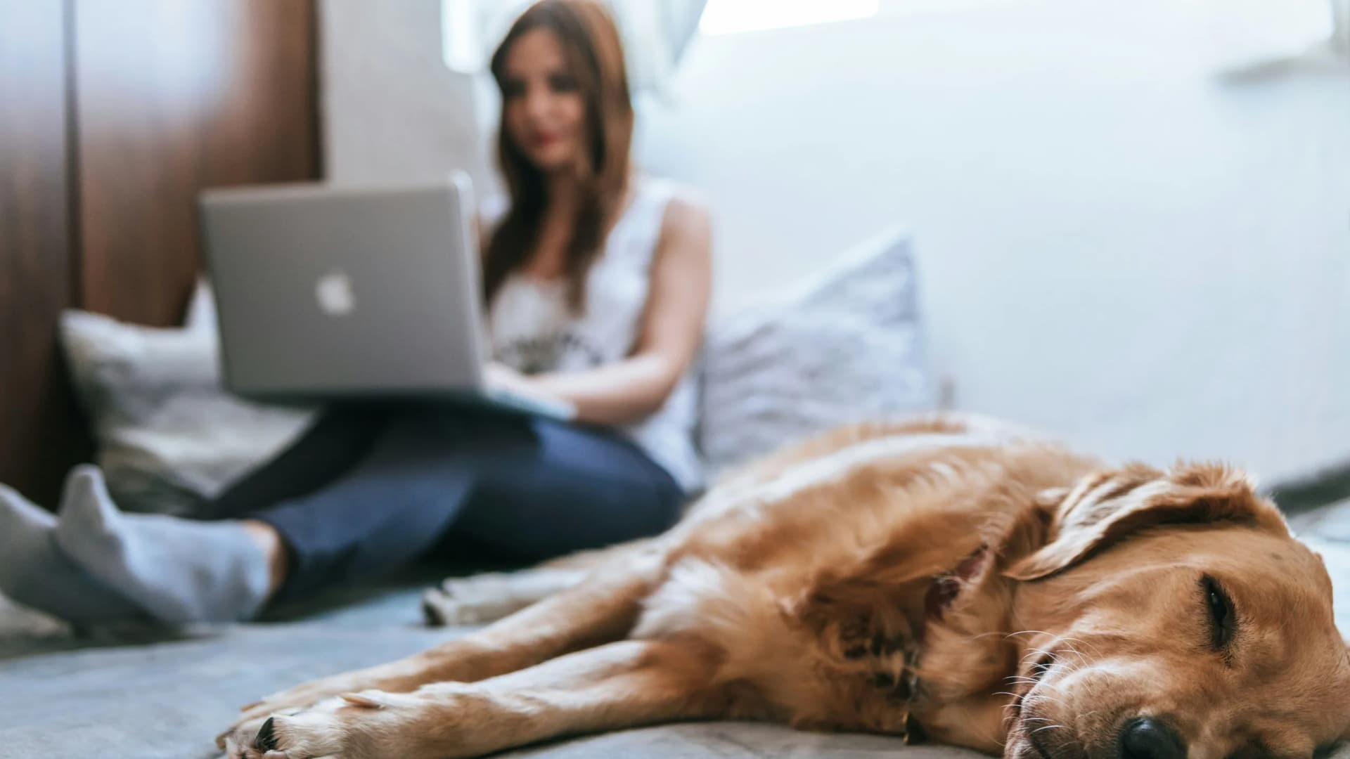 Frau nutzt Online Banking am Computer in ihrem Bett, während der Hund schläft