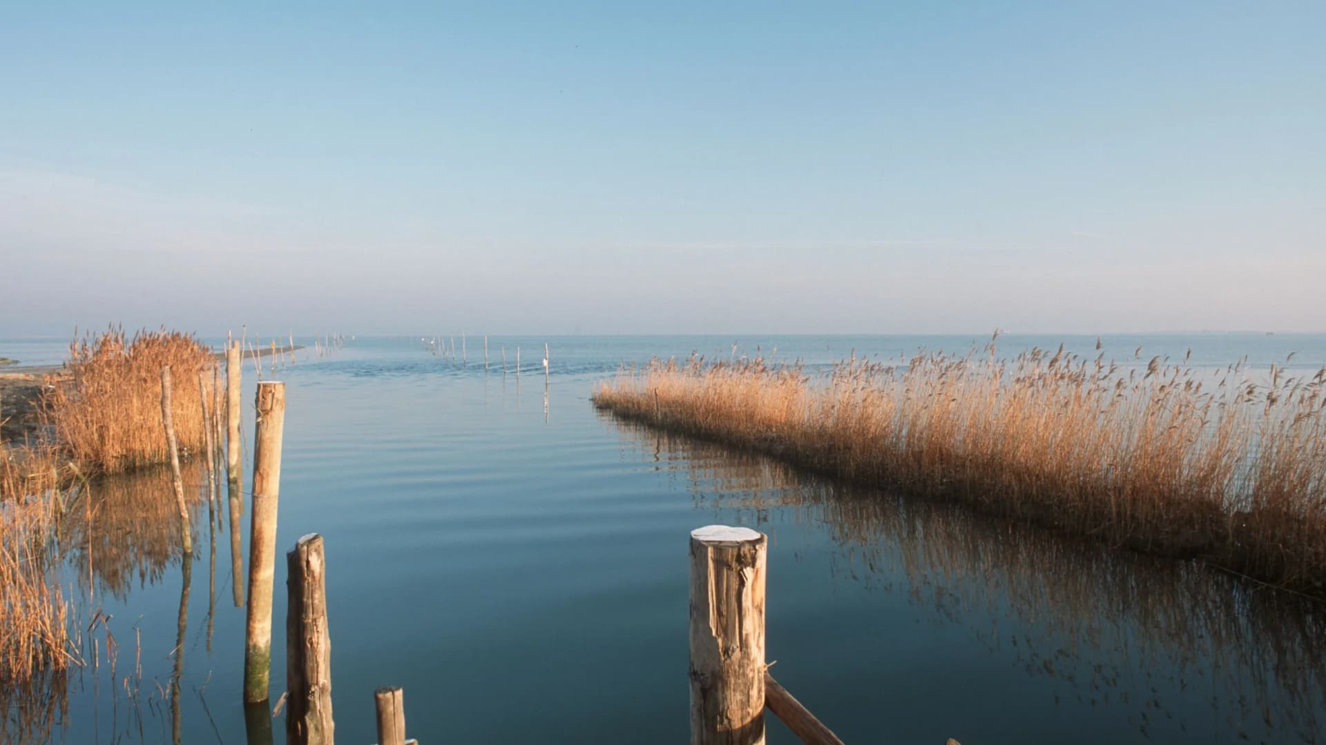 Blick auf den Neusiedler See, umrahmt von Schild, Blick vom Steg aus