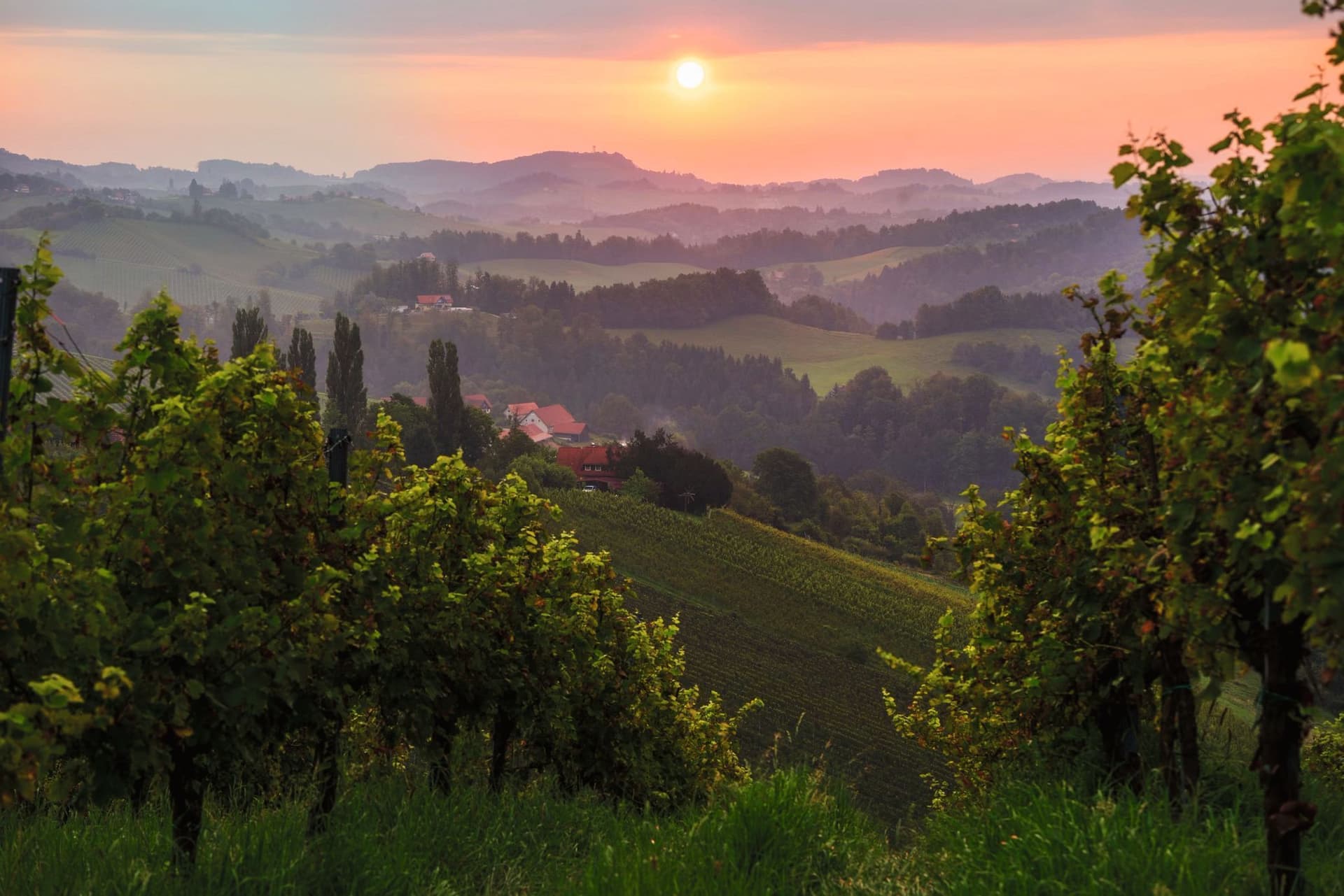Felder und Hügellandschaft mit Blick auf Sonnenaufgang