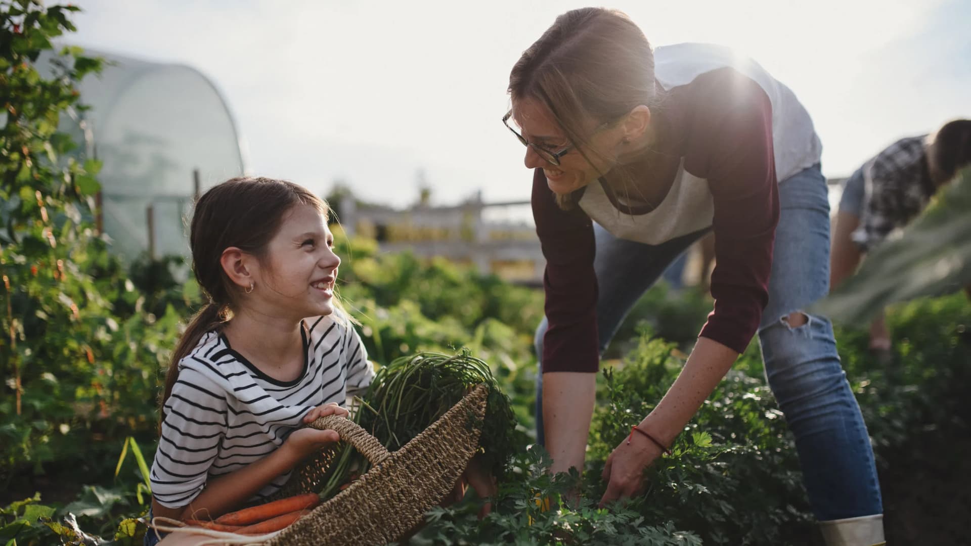 Mädchen mit Mutter sitzt im Feld mit einem Korb als Symbolbild für Privat vorsorgen und Risiken absichern mit der Bank Burgenland und Bank Burgenland Kärnten