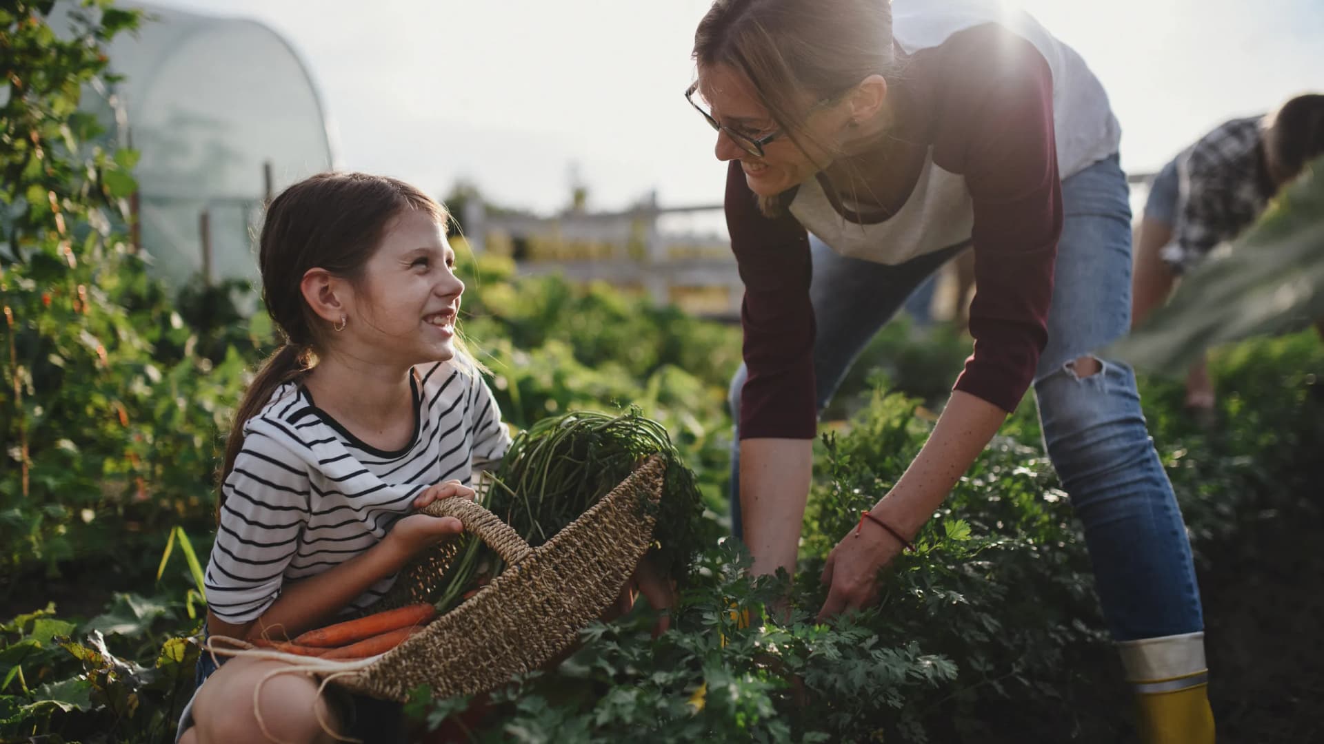 Versichern & Vorsorgen