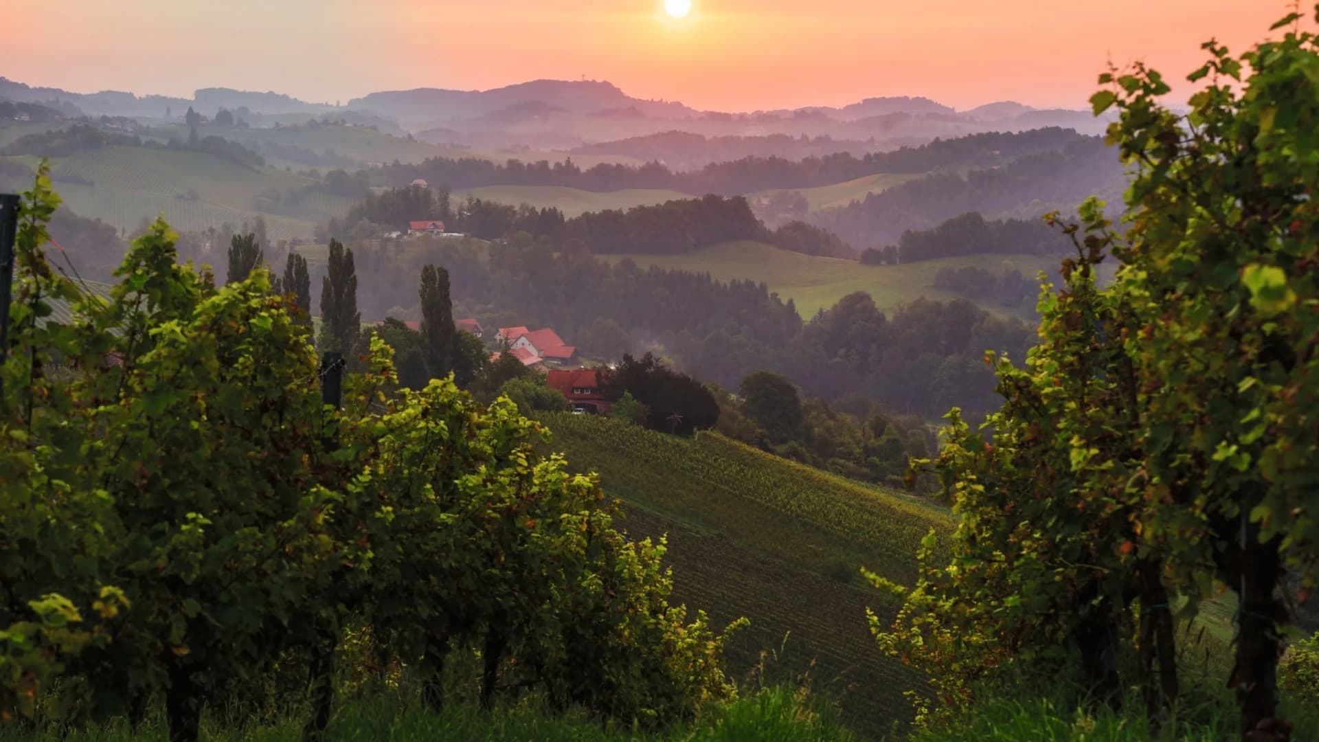 Felder und Hügellandschaft mit Blick auf Sonnenaufgang